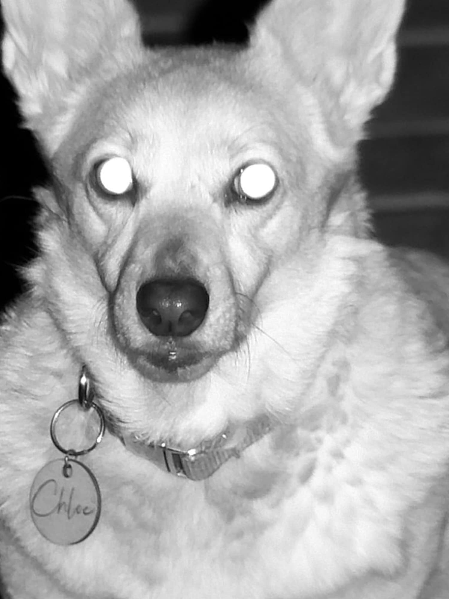 spex-nocti-img-08